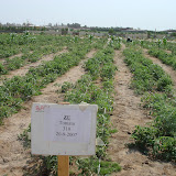 ABDALLY TRIAL