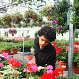 GREEN HOUSE STUDY