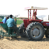 TRIAL FARM