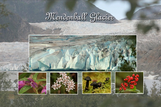 [Copy of mendenhall glacier 2 copy[3].jpg]