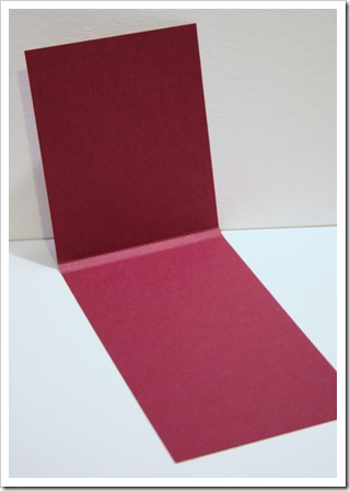 IMG_7885 IMG_7885