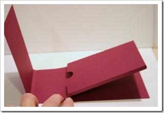 IMG_7894 IMG_7894