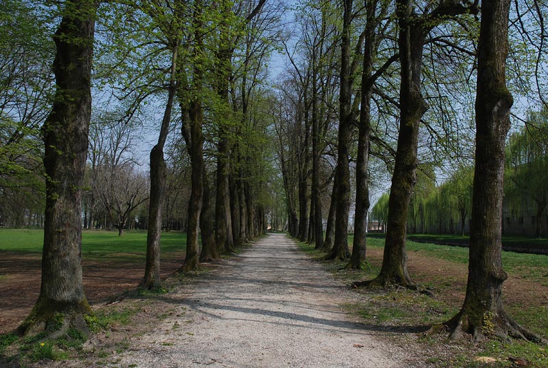 Giardino_02.jpg
