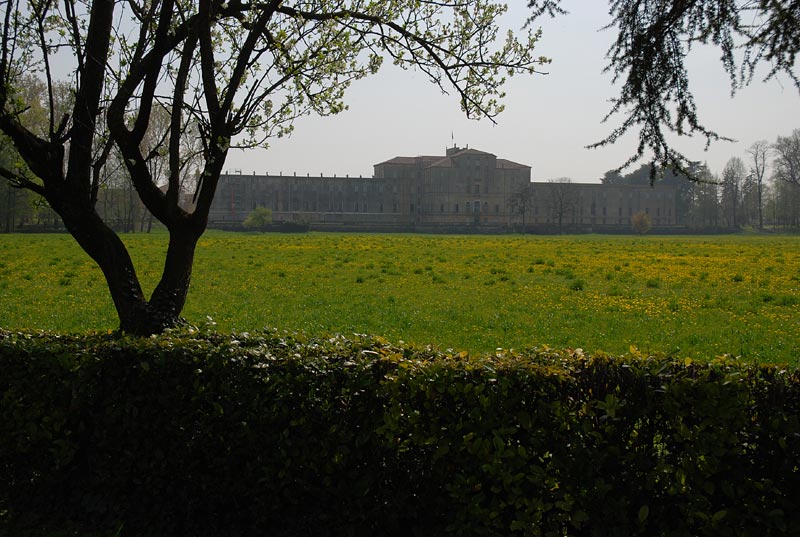 Giardino_12.jpg