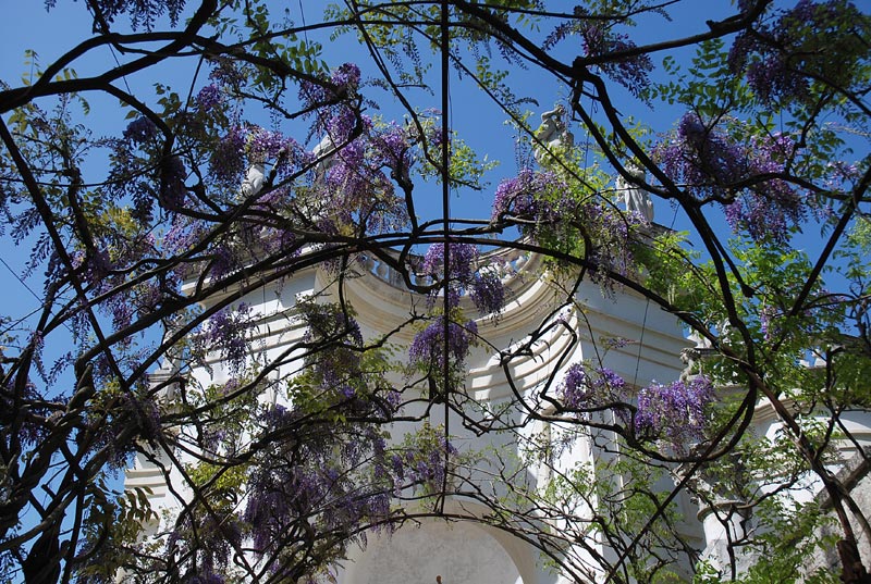 V_P_Giardino_29.jpg