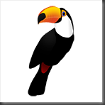 toucan