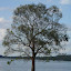 DSC05374.JPG