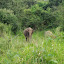 DSC05406.JPG