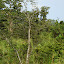 DSC05392.JPG