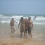 DSCN0136.JPG