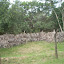 DSCN0065.JPG