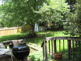 Backyard Before