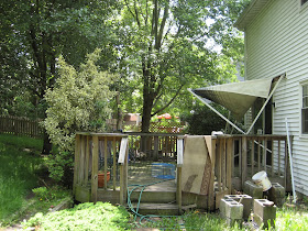 Backyard Before