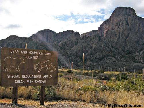 Welcome to 'Bear and Mountain Lion Country' Welcome to 'Bear and Mountain Lion Country'