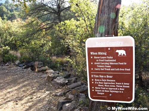 The 'Laws' in 'Bear Country' The 'Laws' in 'Bear Country'