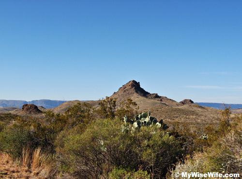 Brown hills and spires near Mule Ears View Point