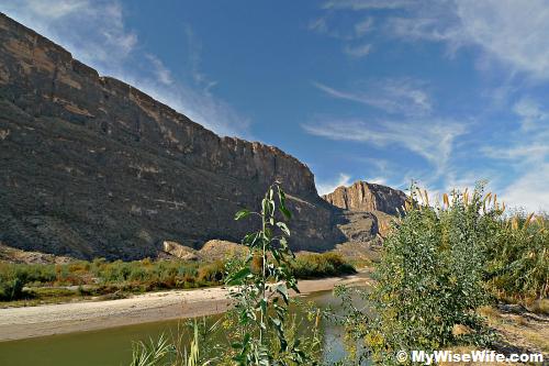 Tall green bushes by Rio Grande Tall green bushes by Rio Grande