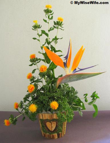 Safflowers and Bird of Paradise and Foliage Safflowers and Bird of Paradise and Foliage