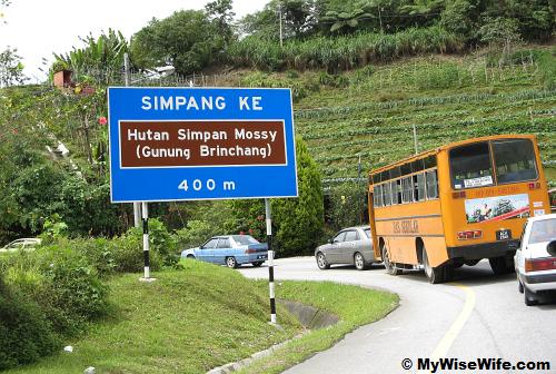 Junction to Mossy Forest and Sg Palas Tea Plantation