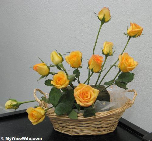 Start with roses Start with roses