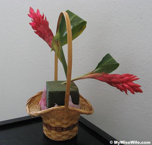 Side view - Red ginger torch