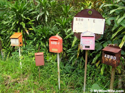 All the mails to 488 All the mails to 488