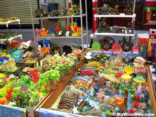 Colorful and vibrant accessories for aquarium Colorful and vibrant accessories for aquarium