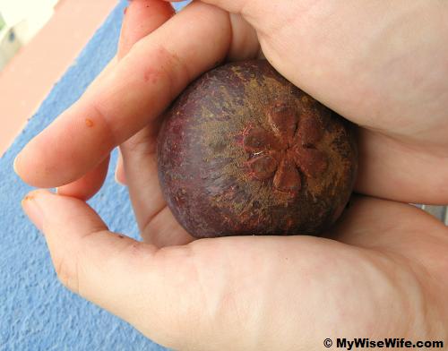 Firstly, put into the palms Firstly, put into the palms