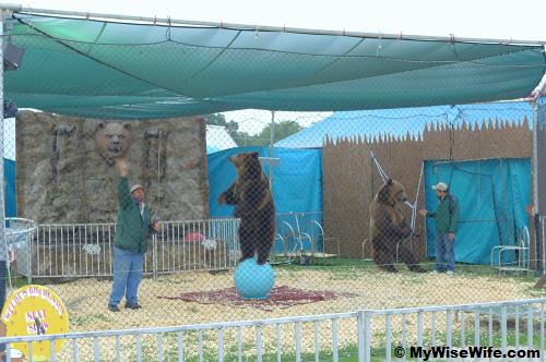 See..a bear balancing or pratising pilates? See..a bear balancing or pratising pilates?