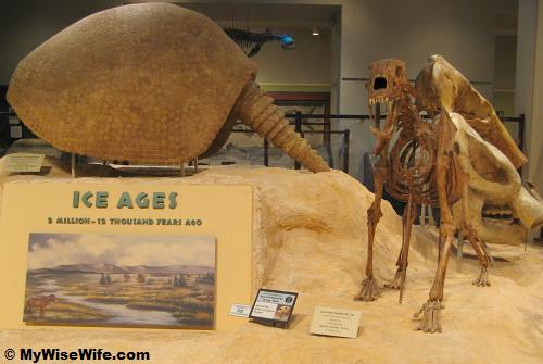 When is the next Ice Age? When is the next Ice Age?
