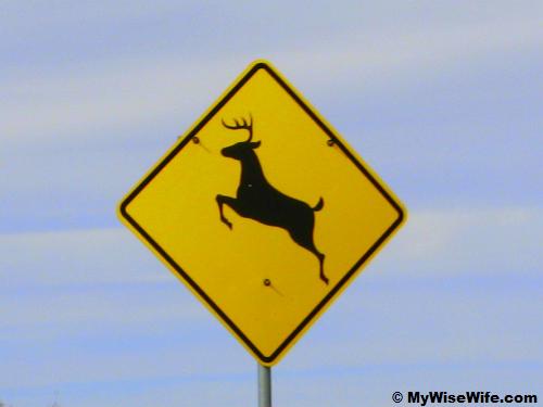 A positive sign into wilderness! A positive sign into wilderness!