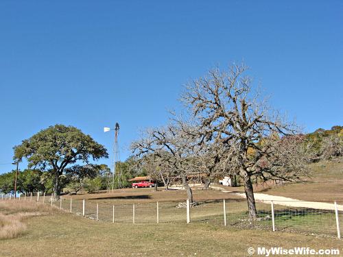 Spotted along FM 187 Spotted along FM 187