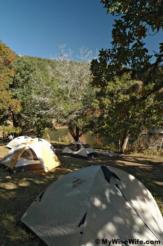 Tents set up at Primitive Camping Site C Tents set up at Primitive Camping Site C