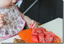 IMG_0542 IMG_0542