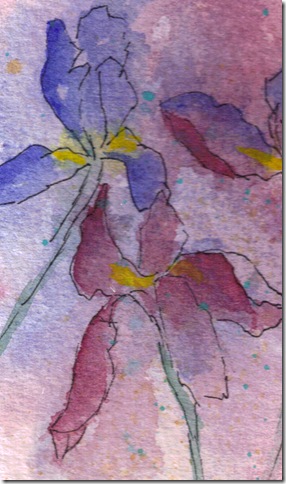 Iris Garden  watercolor painting