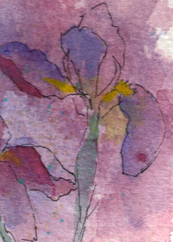 [Iris Garden watercolor painting resized detail 2[6].jpg]