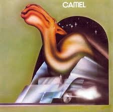 [camel[3].jpg]