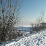 CIMG3467.JPG