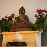 IMG_6226.JPG