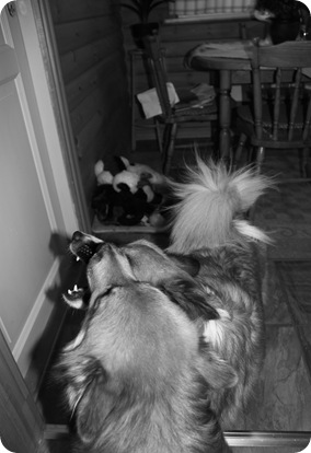 IMG_0188 IMG_0188
