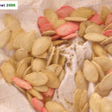 Marrow seeds I saved from the fruit above.
