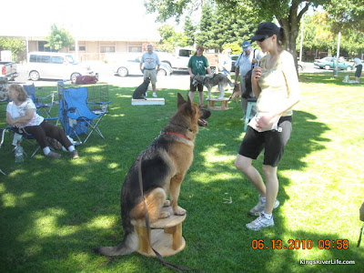 Photo by Jeff Flaming dog training