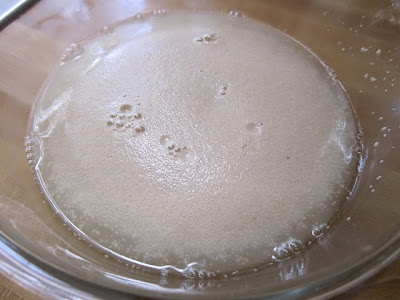 yeast foam 2