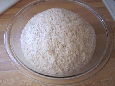 risen dough