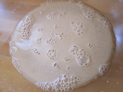 frothy yeast
