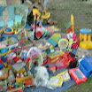 DSCF0296.JPG