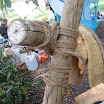 DSCF0299.JPG