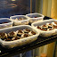 magnetha's indoor seed starting garden