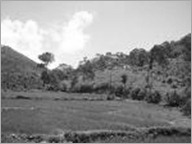 village village