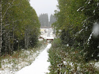 IMG_7398.JPG Photo
